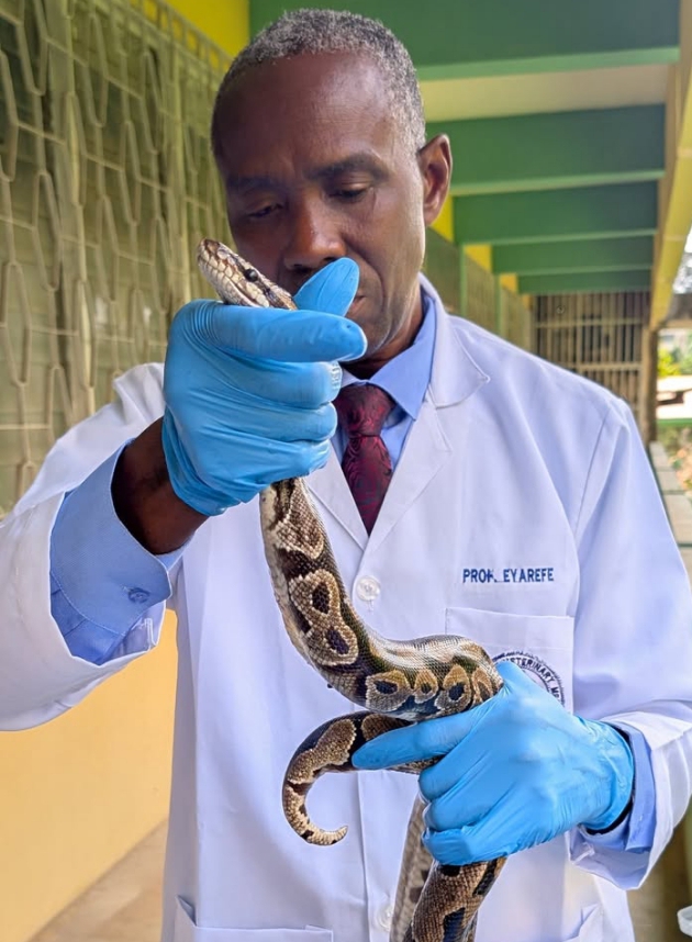 Prof. Eyarefe