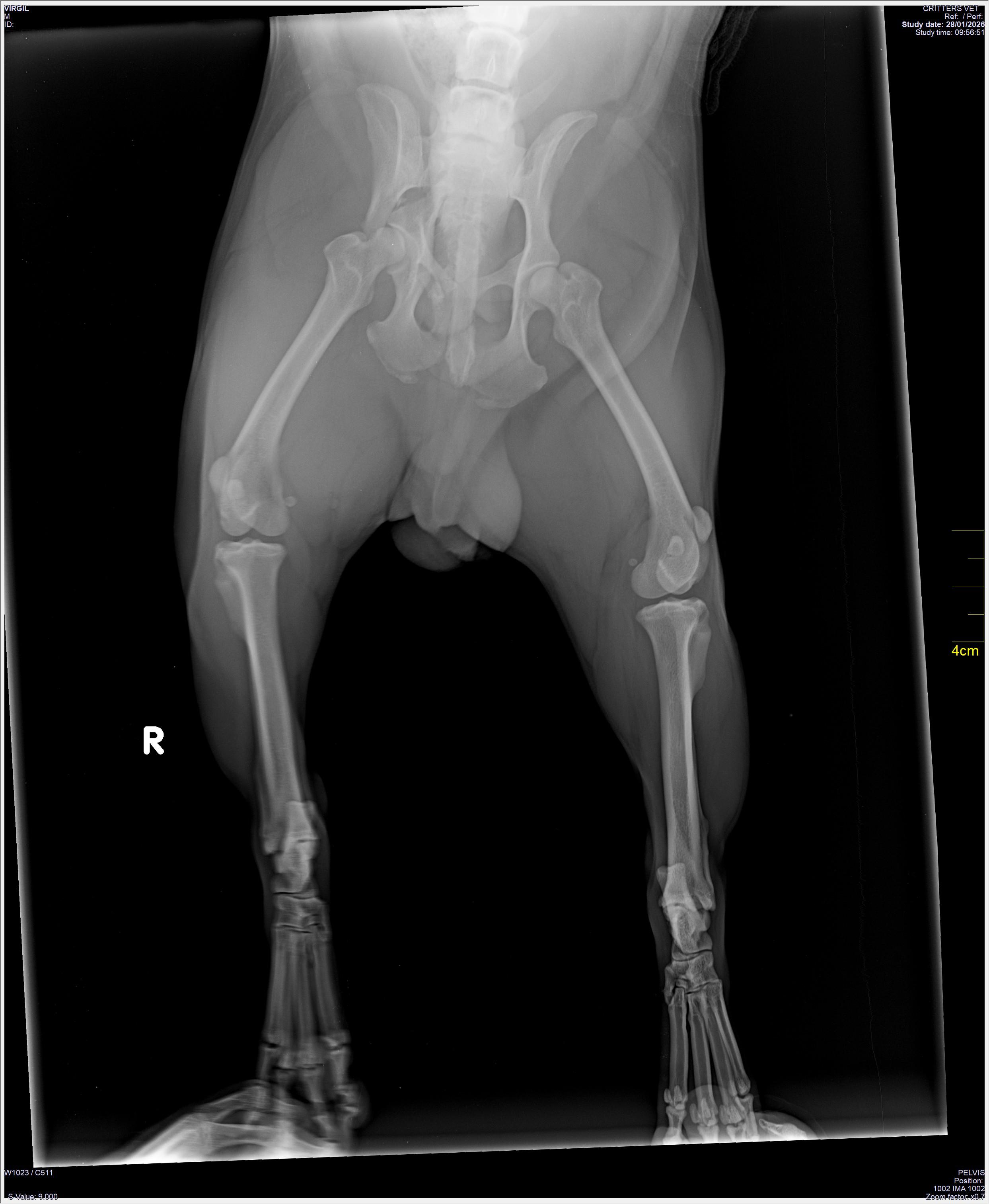 Digital Radiographic Imaging